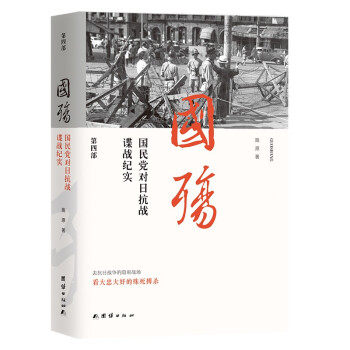 适用国殇：国民党对日抗战谍战纪实（D四部）