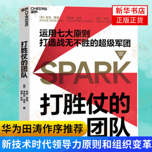 企業(yè)管理正版 打勝仗 書籍 領(lǐng)導(dǎo)力原則打造一支能打硬仗打勝仗 為組織提升凝聚力和戰(zhàn)斗力提出7項關(guān)鍵性 團隊 華為田濤作序