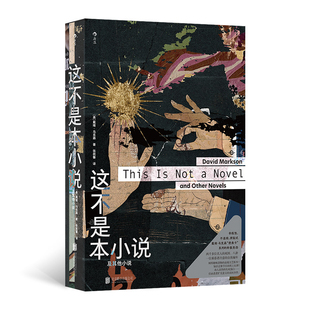这不是本小说：及其他小说［美］戴维·马克森外国小说北京联合出版社新华书店正版