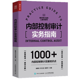 内部控制审计实务指南
