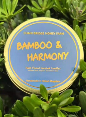 手工蜡烛-竹林深处