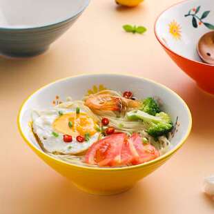 川岛屋日式拉面碗大号汤碗斗笠碗陶瓷大碗吃拌面汤面条碗家用防烫