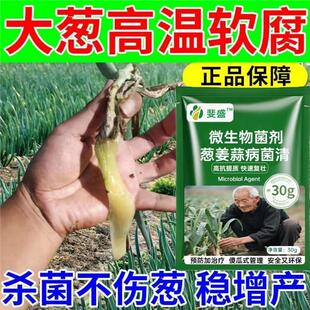 大葱专用万菌清白斑葱叶有白点白粉大葱干尖黄叶根腐防腐软腐防烂