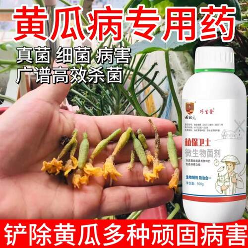 黄瓜杀菌剂靶斑病毒病锈病霜霉灰霉蔓枯黄叶炭疽疫病角斑病褐斑病