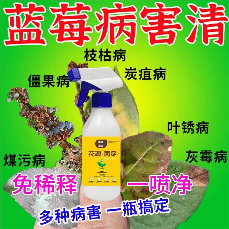 蓝莓杀菌剂病全治蓝莓灰霉病枝枯病白粉病叶斑病僵果病干瘪杀菌剂