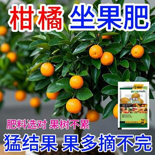 柑橘营养液促花促果防黄叶促发芽专用肥家用生长期挂果增甜水溶肥