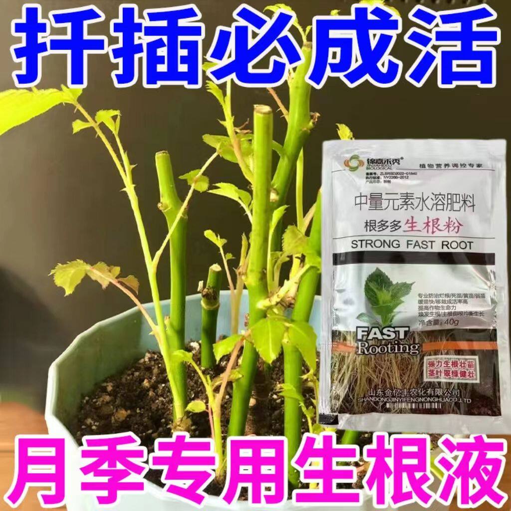 月季玫瑰扦插专用生根剂生根粉移栽插花育苗生根爆肥根强力生根剂