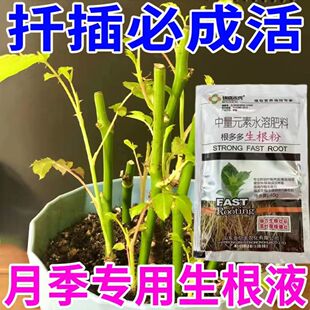 月季玫瑰扦插专用生根剂生根粉移栽插花育苗生根爆肥根强力生根剂