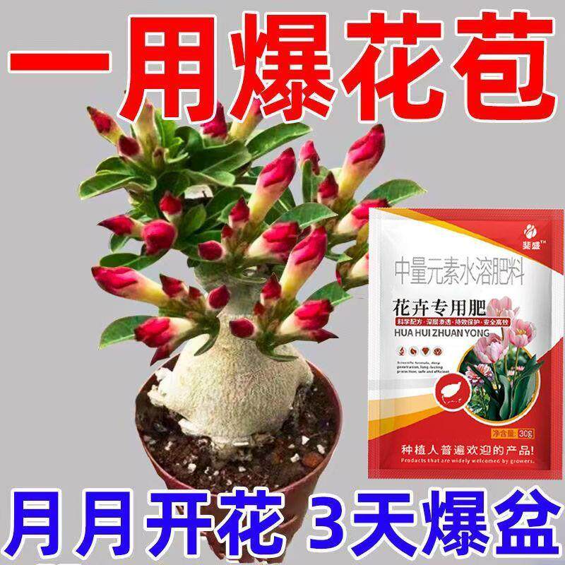 沙漠玫瑰专用肥营养液沙漠玫瑰花肥开花土玖瑰催花肥料盆栽壮苗