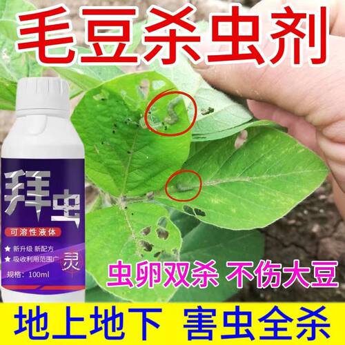 毛豆防虫药钻心虫食心虫专打大豆虫大豆病虫害防治卷叶虫专用杀虫