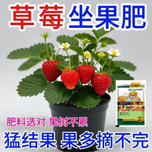 草莓营养液促花促果防黄叶促发芽专用肥家用生长期挂果增甜水溶肥