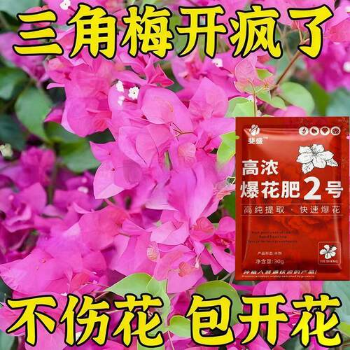 一滴猛开】三角梅专用营养液催芽促花治黄叶枯萎落叶不开花叶面肥