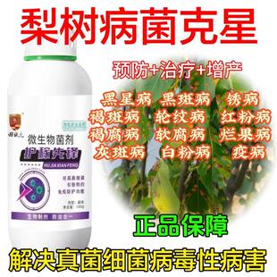 梨树专用药梨树病全治梨树特效杀菌剂梨树锈病黑斑病褐斑病烂果病