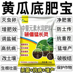 【黄瓜底肥宝】黄瓜种植肥料改善土壤高免疫力快速吸收中量元素