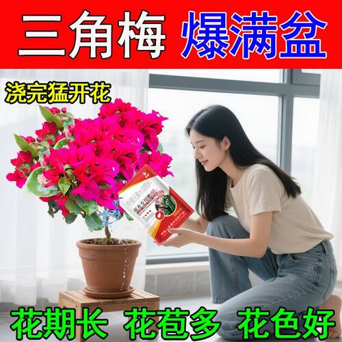 三角梅专用肥植物营养液肥料养花枝繁叶茂梅花盆栽家用花卉促开花