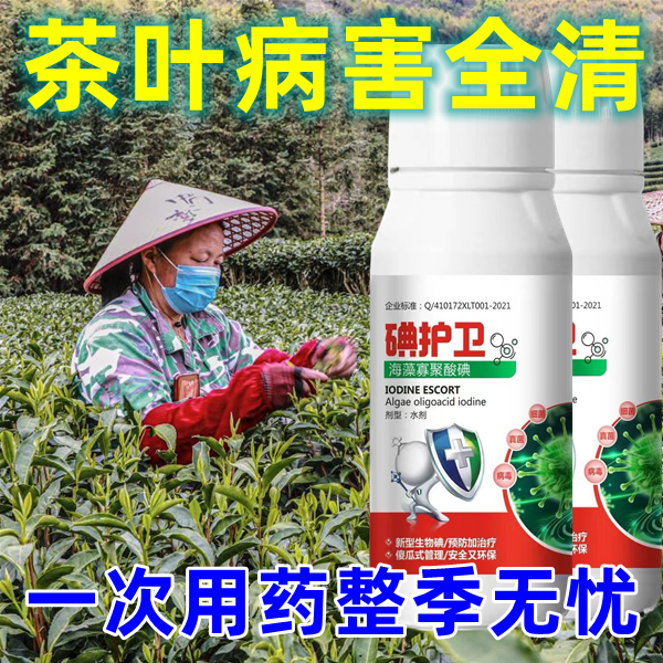 茶叶病害白星病赤霉专治茶叶杀菌剂茶树专用药茶饼病茶霉病炭蛆病