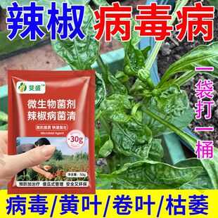 辣椒病毒清辣椒卷叶炭疽黄叶枯萎根腐灰霉软腐病害专用微生物菌剂