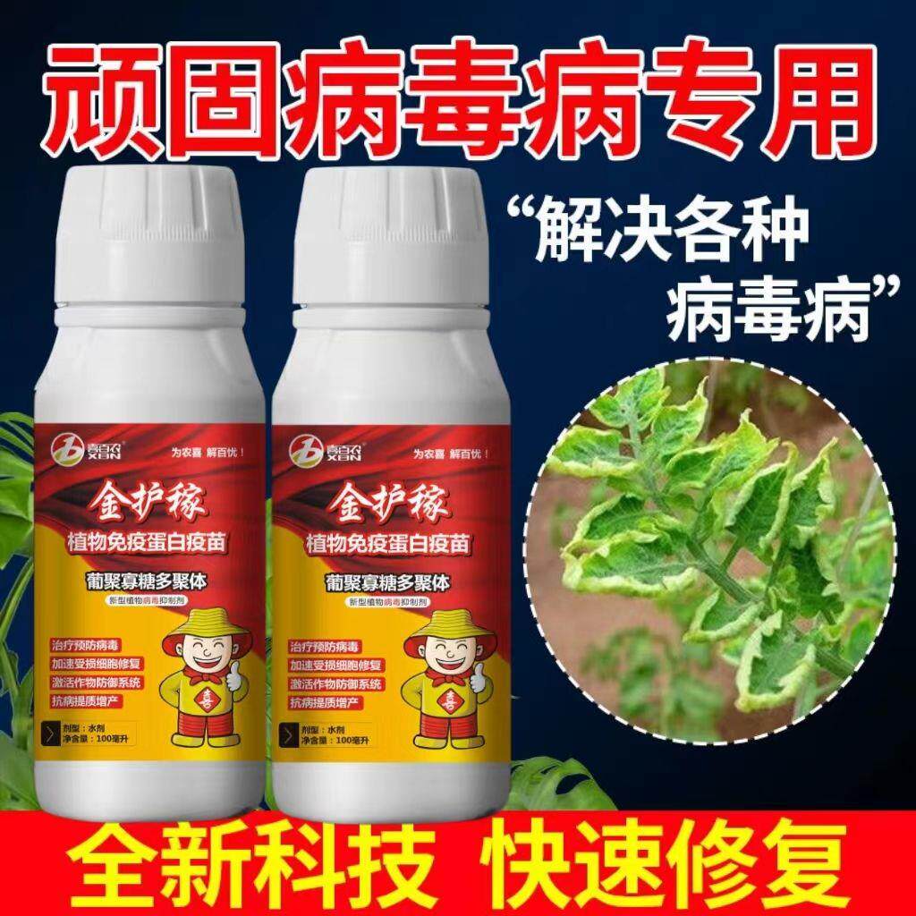 病毒病全治番茄辣椒黄瓜茄子葫芦西瓜黄叶卷叶小叶病毒一遍净