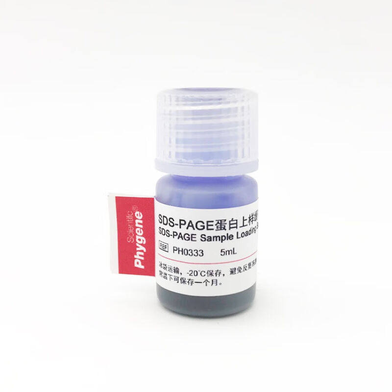 5×SDS-PAGE蛋白上样缓冲液加样缓冲液5mL[PH0333PHYGENE]25mL5mL