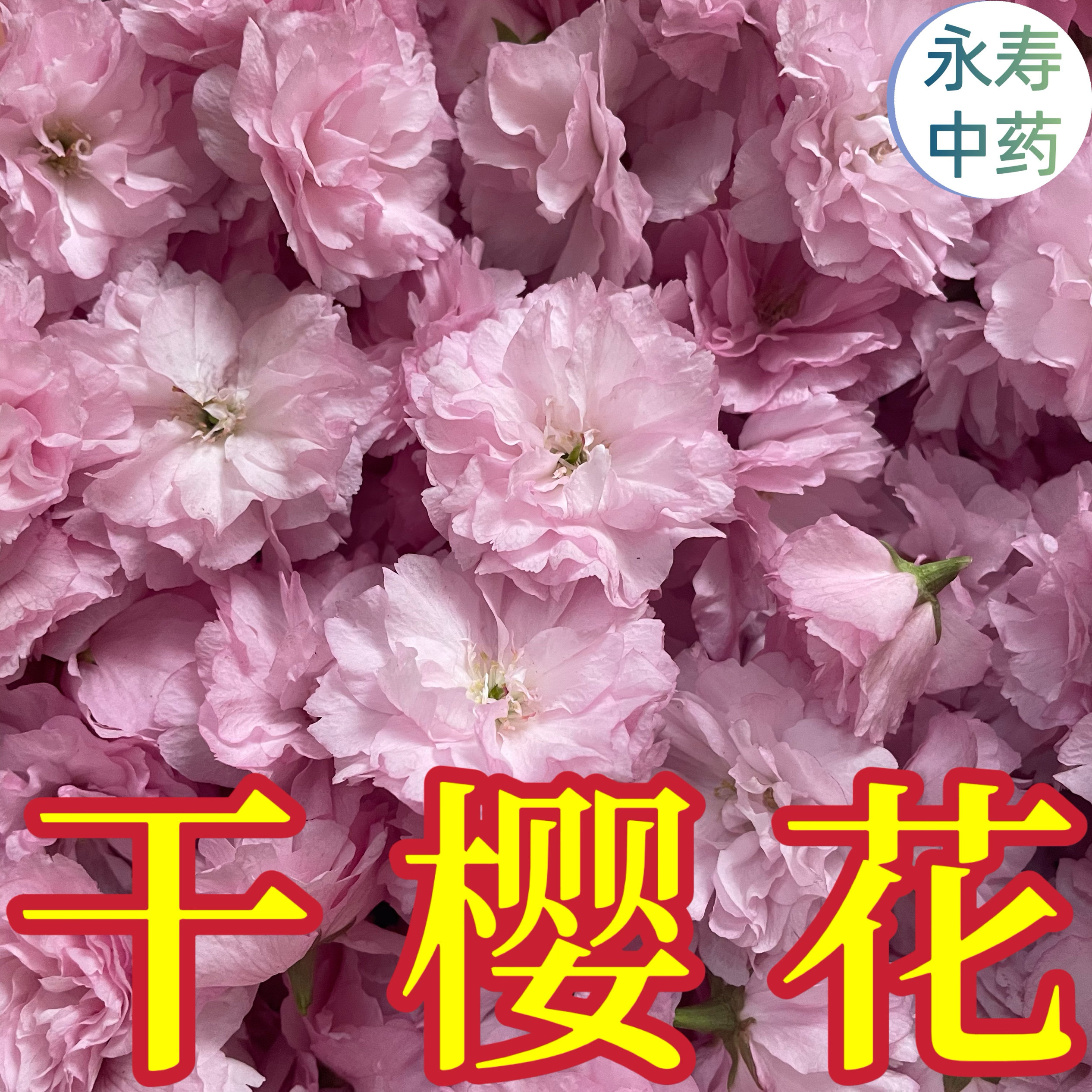樱花干 整朵樱花茶八重关山 干