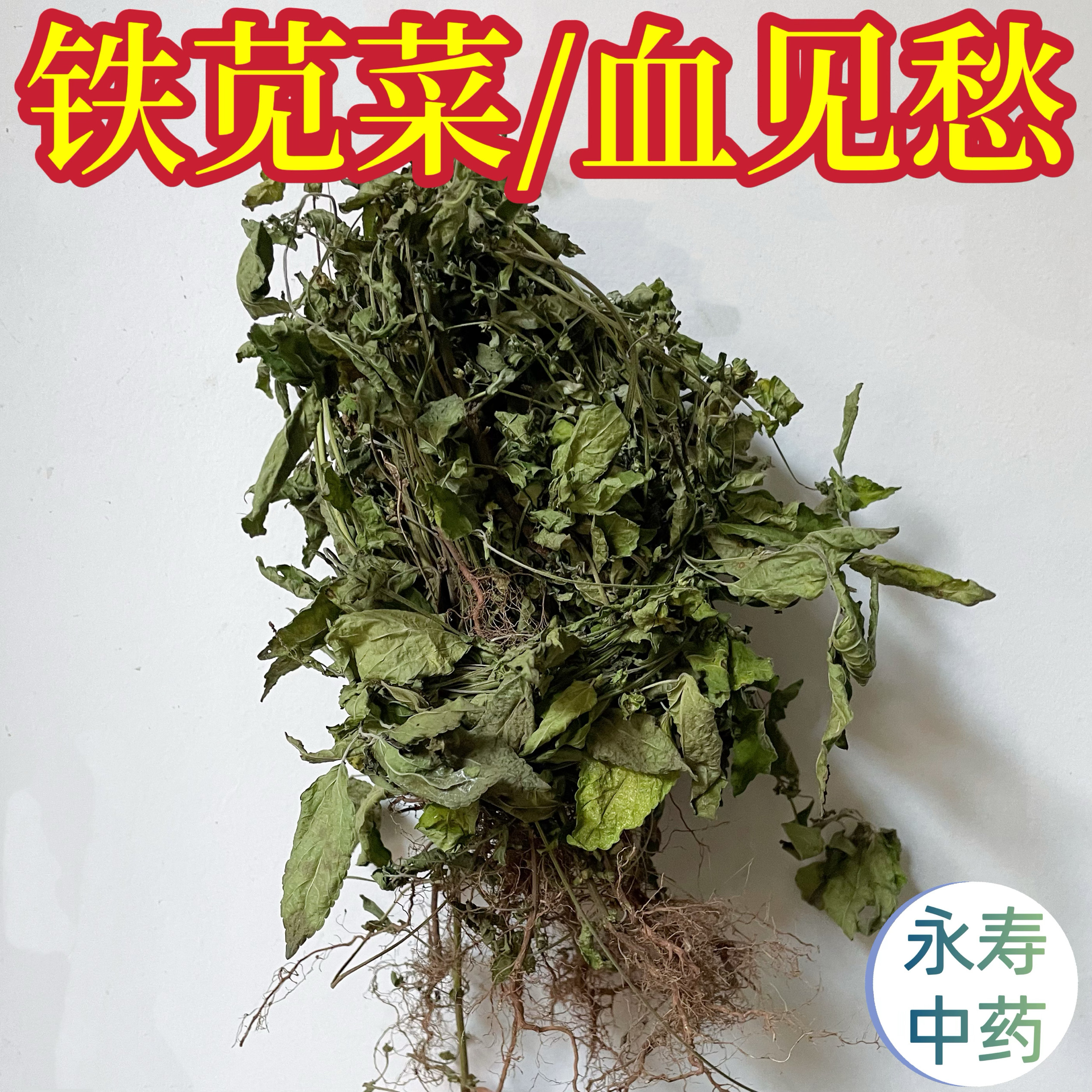 干铁苋菜 整株带根中药材血见愁,海蚌念珠叶里藏珠 天然晒干
