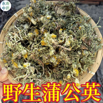 蒲公英带根干货 整株带根浦公英中药材 婆婆丁黄黄苗干品无硫