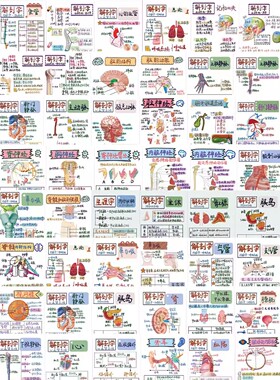 64张人体解剖医学贴纸医学生笔记diy装饰贴画创意防水手机笔记本