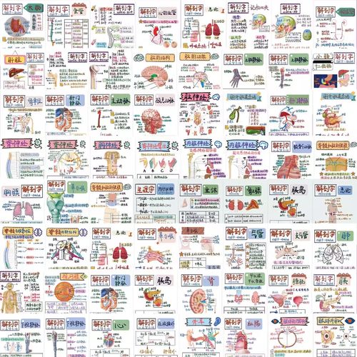 128张人体解剖医学贴纸医学生笔记diy装饰贴画创意防水手机笔记本