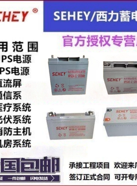 SEHEY西力蓄电池免维护UPS电源EPS应急电源直流屏通信系统专用