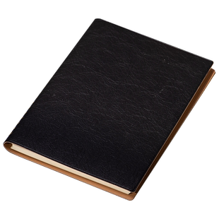 2025线圈笔记本本子定制可印logo商务记事本工作办公会议记录本A5日记本成人记账软皮面本子定做封面公司批发