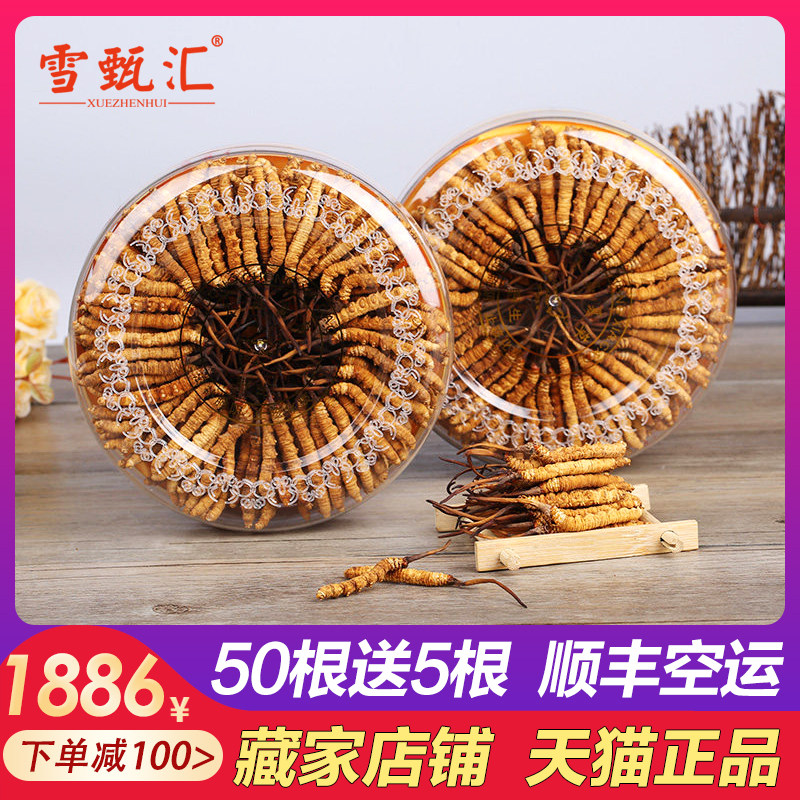 Tibet Nagqu Cordyceps Flagship store quality goods Qinghai Yushu natural fresh Cordyceps Orthodox school Super 50 rootin the Traditional nourishing food , Cordyceps  category - from Buy2taobao.com to provide professional Taobao agent buy service
