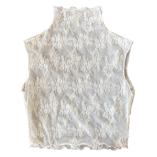 蕾丝假领子女百搭秋冬新款木耳边高领网纱打底衫无袖背心内搭纱衣