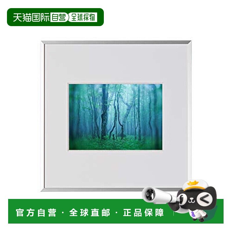 【日本直邮】Kenko肯高镜框画廊2升亚克力型铝框银色AGY-2