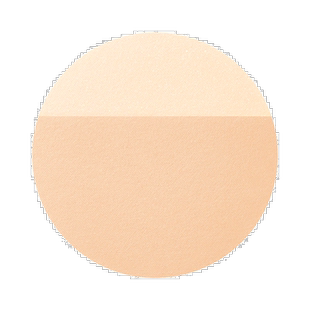 日本直邮INTEGRATE 完美意境Gracy 光透无暇蜜粉饼 SPF50+/PA++++