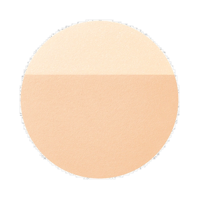 日本直邮INTEGRATE 完美意境Gracy 光透无暇蜜粉饼 SPF50+/PA++++