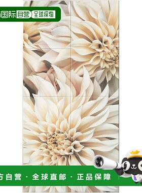 【日本直邮】LIXIL Ecocarat 自花 1260 套装 ECSF-1260S/114 包