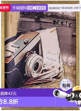 【日本直邮】仲林 Antico 内饰框架 2L 金色 F-TP-103-GD