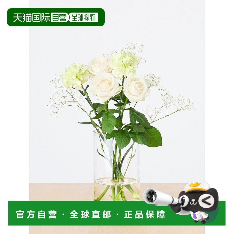 日本直邮Uniqlo 玫瑰康乃馨 花卉 479172优衣库