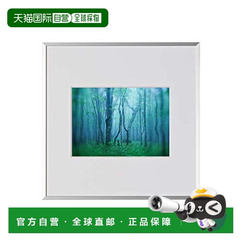 【日本直邮】Kenko肯高镜框画廊2升亚克力型铝框银色AGY-2LSQ-SV
