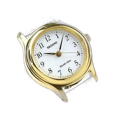 日本直邮Citizen REGUNO Solartech Standard RS26-0031C 手表
