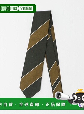 日本直邮UNITED ARROWS green label relaxing ALTEA 条纹领带