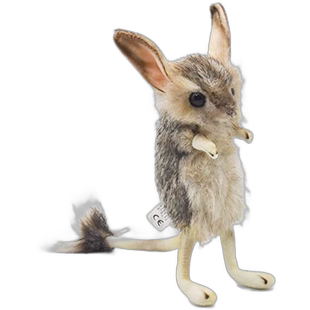 日本直邮【日本直邮】Hansa汉莎 动物玩偶 跳鼠 BH7497毛绒玩具