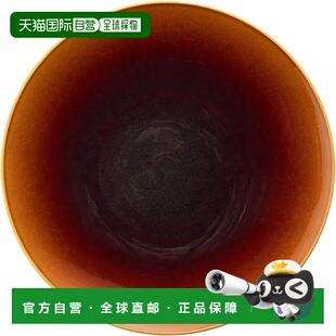 【日本直邮】NARUMI 盘子 碟子 Aeca 直径 28cm 铁红棕色 58065-5