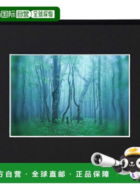 【日本直邮】Kenko肯高 相框 美术馆 2L 黑 AM-AGY-2L-BK