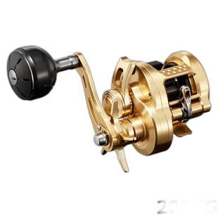 日本直邮Shimano Jigging Reel Osea Conquest 200HG 右手柄 23年