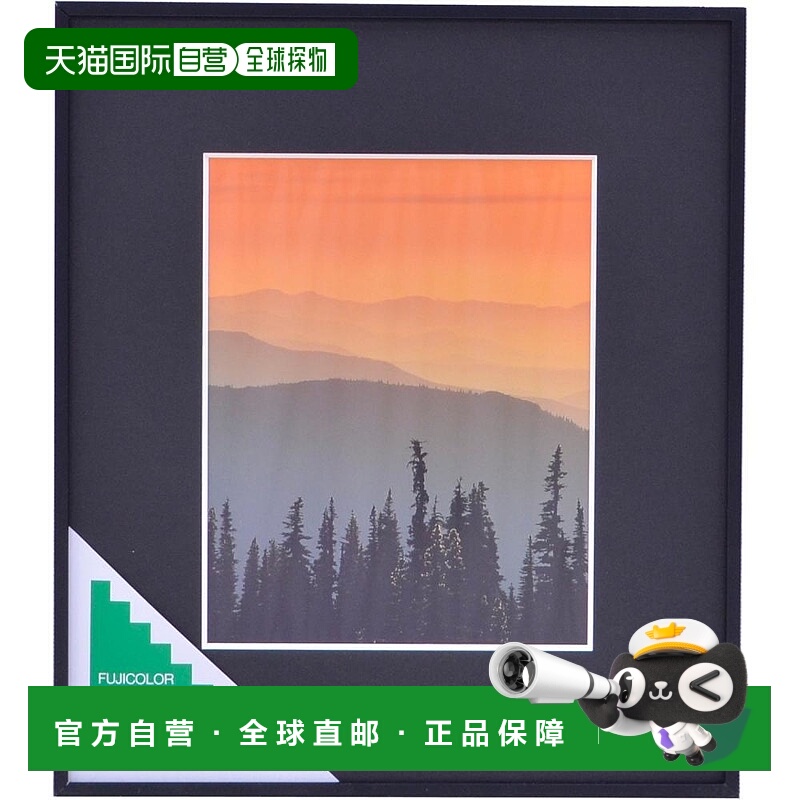 【日本直邮】Fujicolor富士胶片 金属相框A300黑色6切 301537