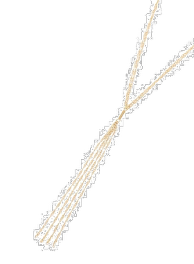 日潮跑腿COCOSHNIK 流苏项链 40链子