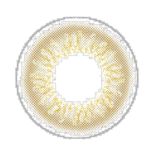 evercolor1day LUQUAGE 新款日抛美瞳 隐形眼镜正品水凝胶片装