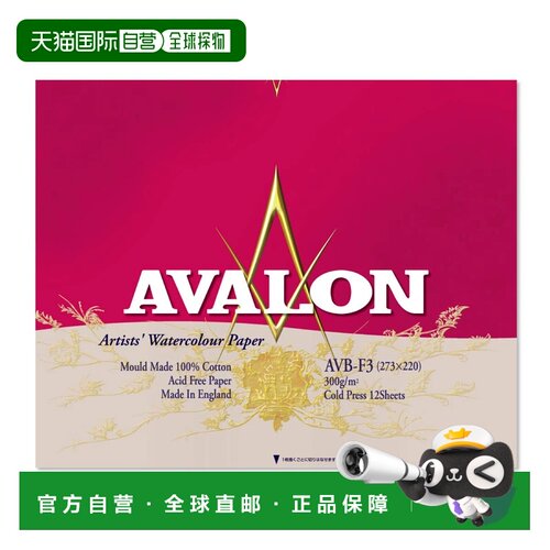 日本直邮荷尔拜因 阿瓦隆水彩纸 块状 AVB-F3 (271002) 12张装订