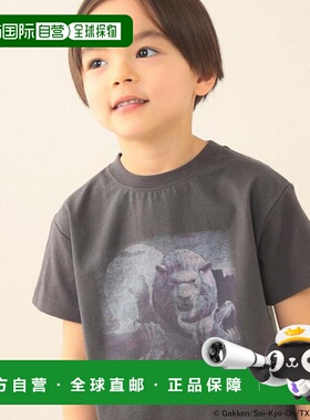 1h可退 日本直邮BEAMS mini 強王図鑑（强王图鉴） COLLABORATION